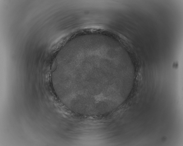 X0000113181014200909251436