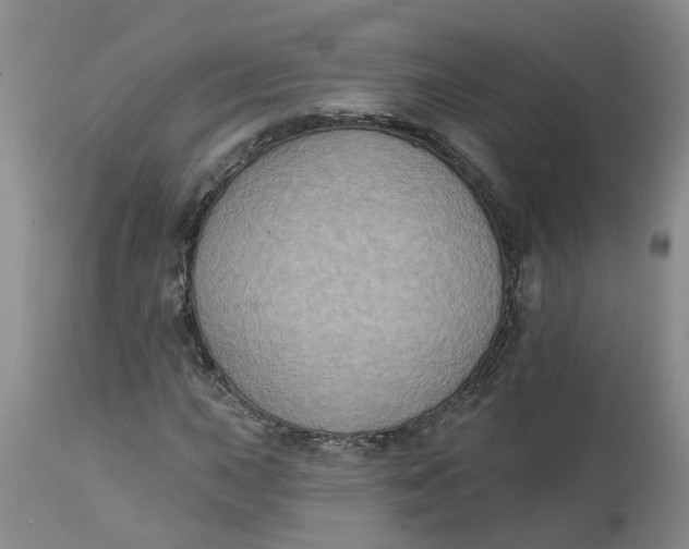 X0000113181015200909251436