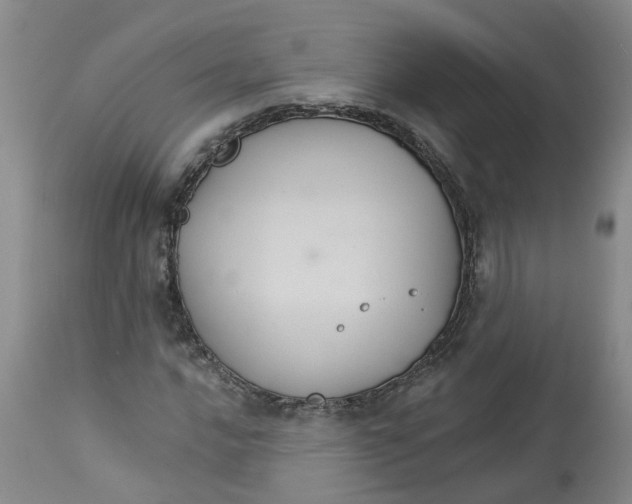 X0000113181016200909251436