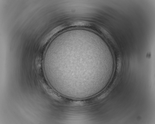 X0000113181017200909251436