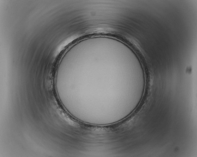 X0000113181018200909251436