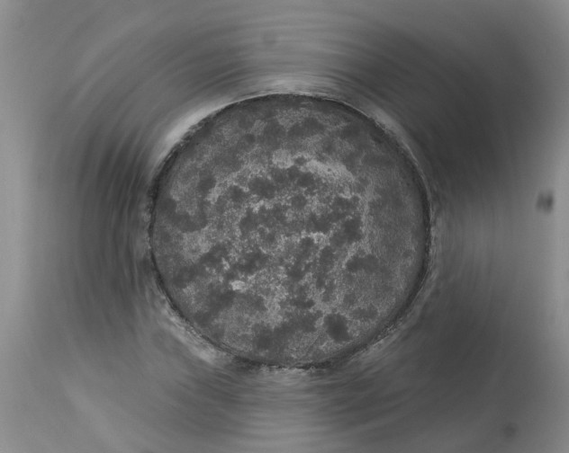 X0000113181019200909251436