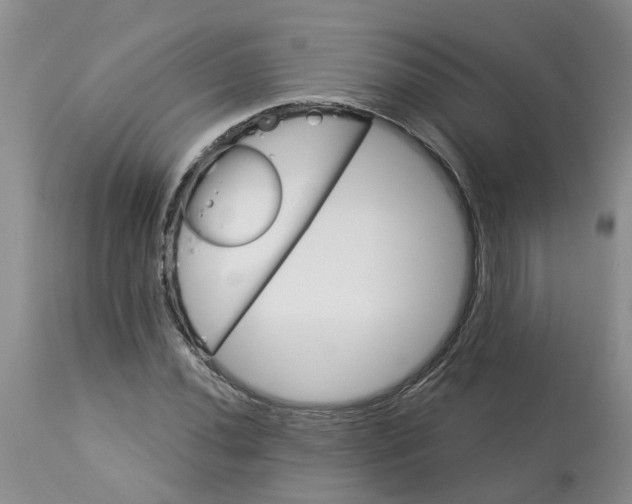 X0000113181020200909251436