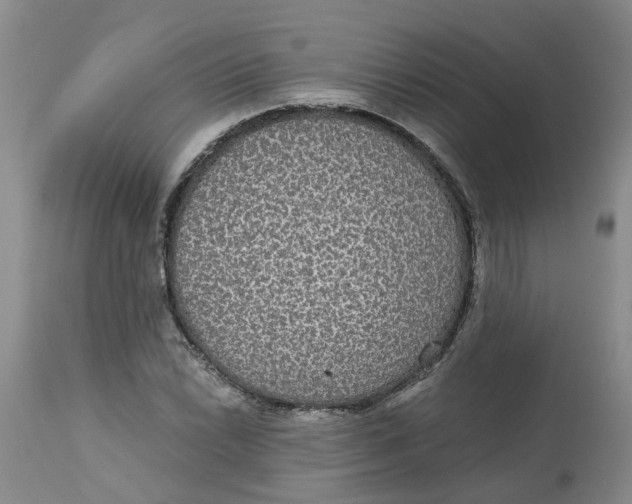 X0000113181022200909251436