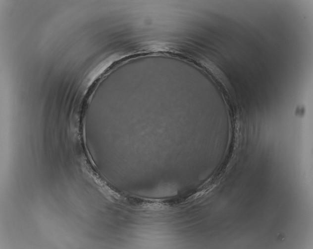 X0000113181023200909251436