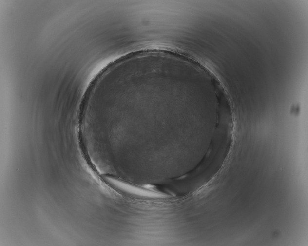 X0000113181024200909251436