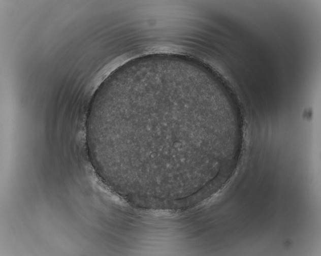 X0000113181025200909251436