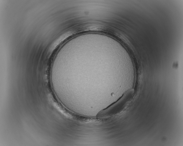 X0000113181026200909251436