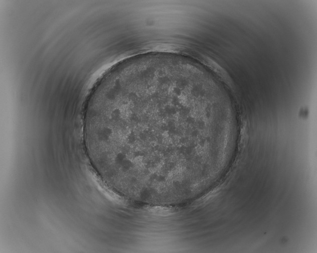 X0000113181027200909251436