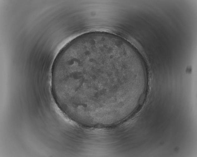 X0000113181028200909251436