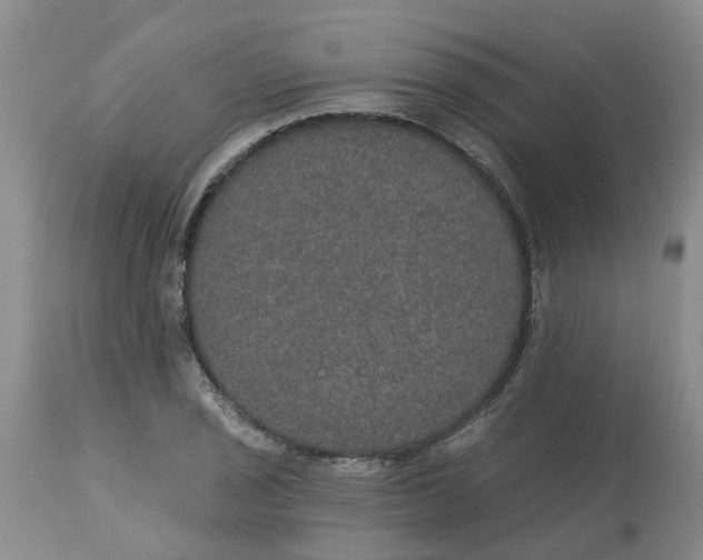 X0000113181029200909251436