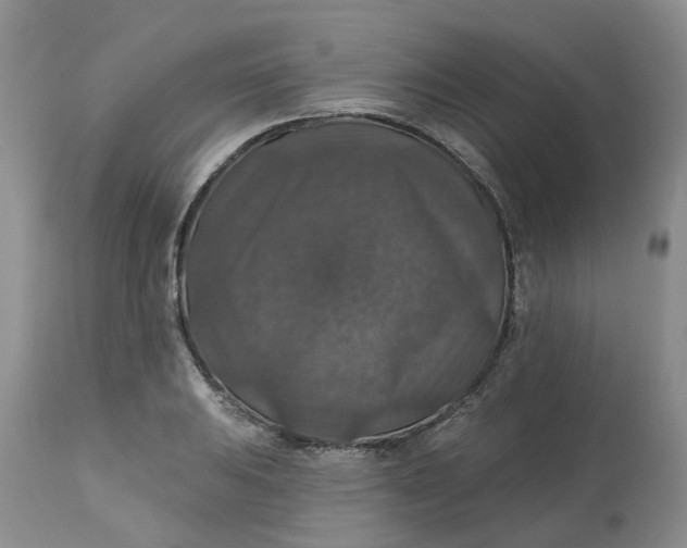 X0000113181031200909251436