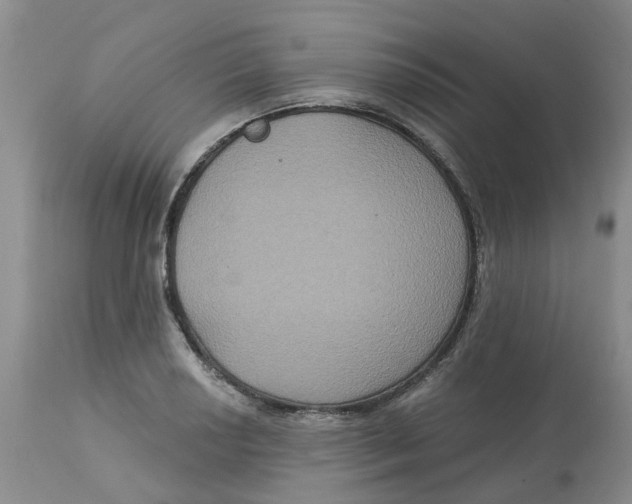X0000113181034200909251436