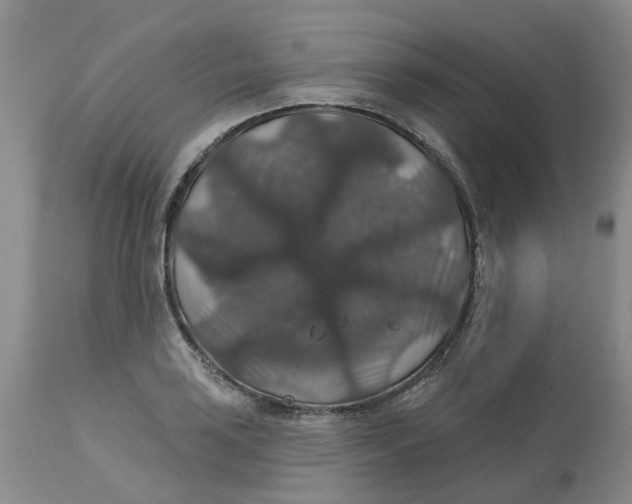 X0000113181035200909251436