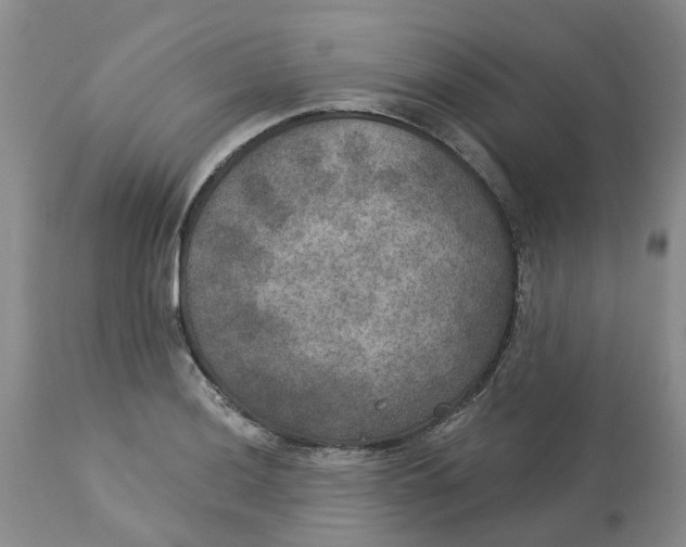 X0000113181036200909251436