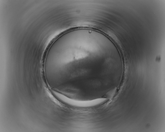 X0000113181037200909251436