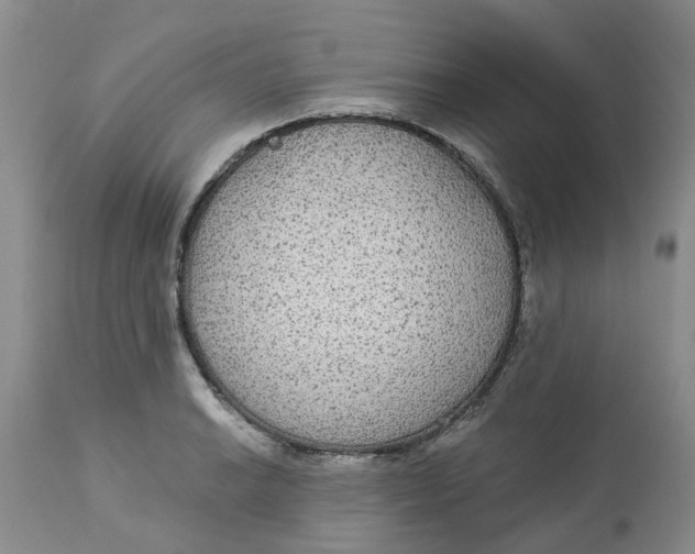 X0000113181038200909251436