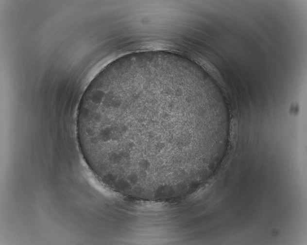 X0000113181039200909251436