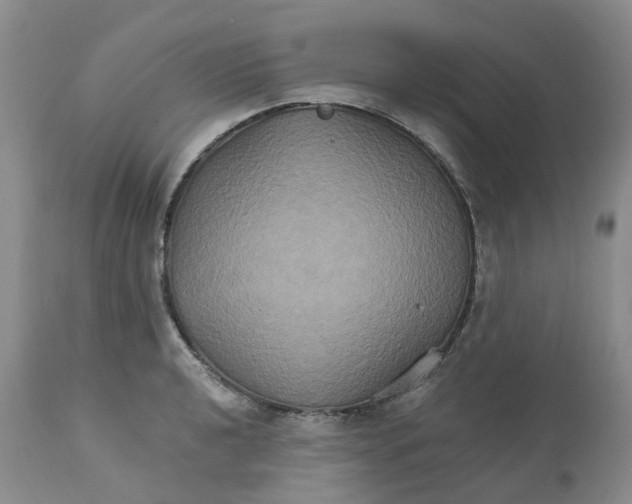 X0000113181040200909251436