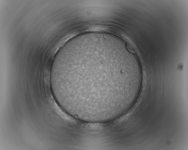 X0000113181041200909251436