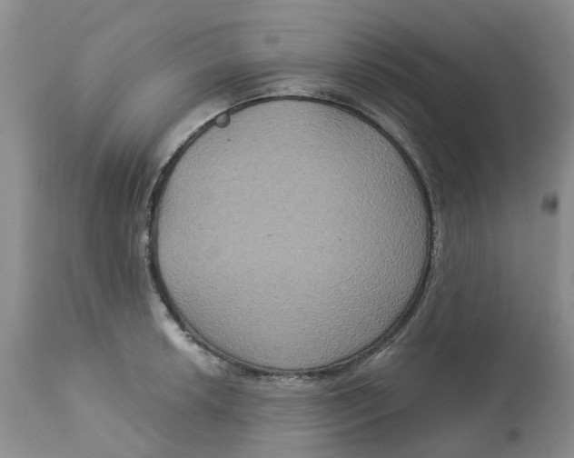 X0000113181042200909251436