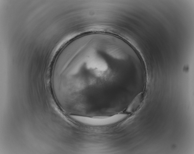 X0000113181045200909251436