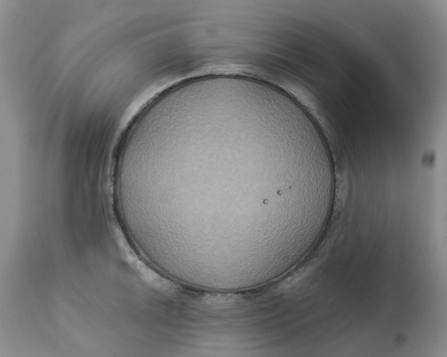 X0000113181046200909251436