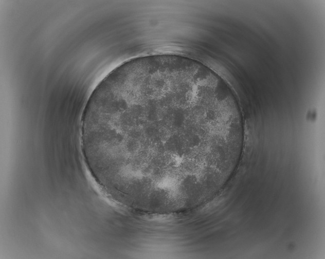 X0000113181047200909251436