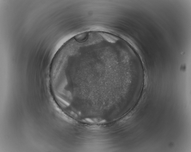 X0000113181048200909251436