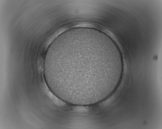 X0000113181049200909251437