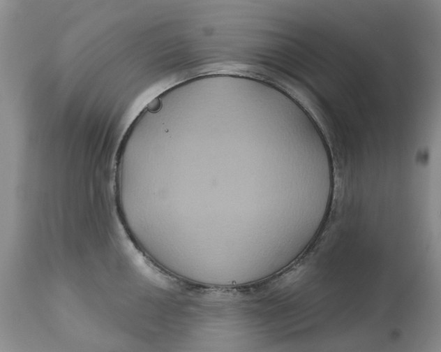 X0000113181050200909251437