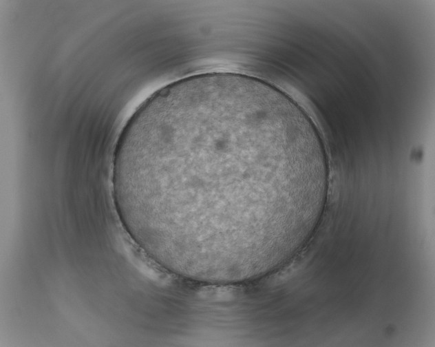 X0000113181051200909251437