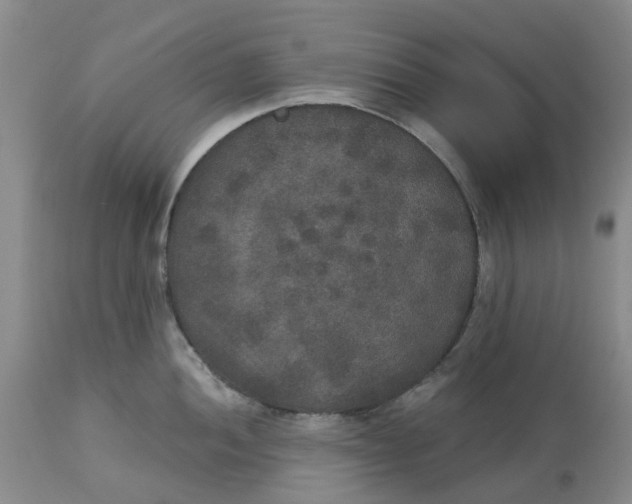 X0000113181052200909251437