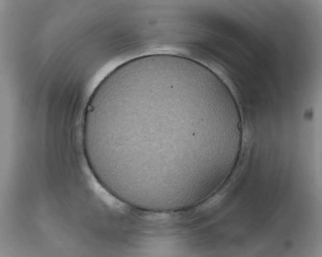 X0000113181054200909251437
