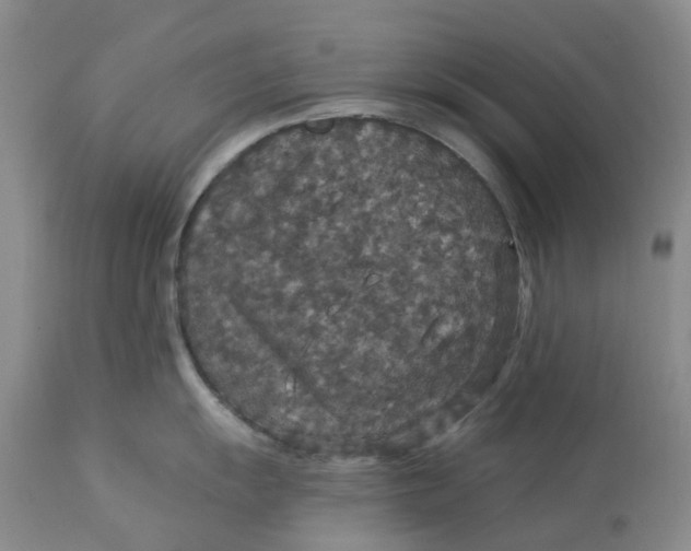 X0000113181055200909251437