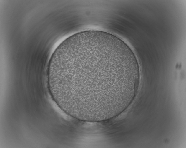 X0000113181056200909251437
