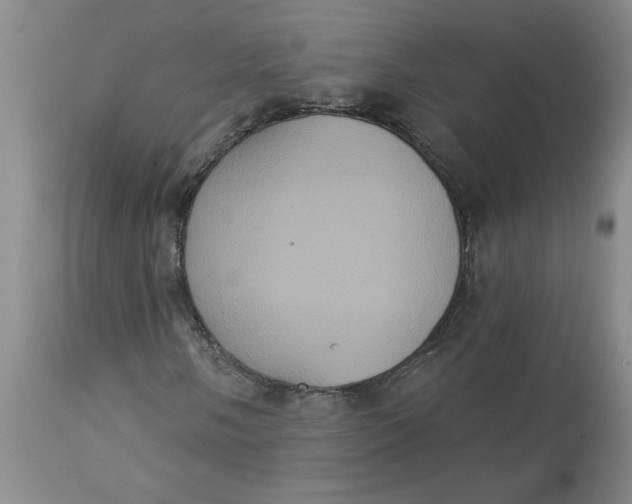 X0000113181058200909251436