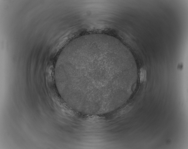 X0000113181059200909251436