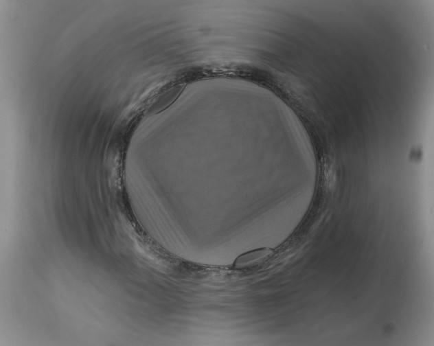 X0000113181060200909251436