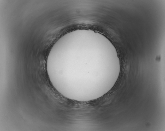 X0000113181061200909251436