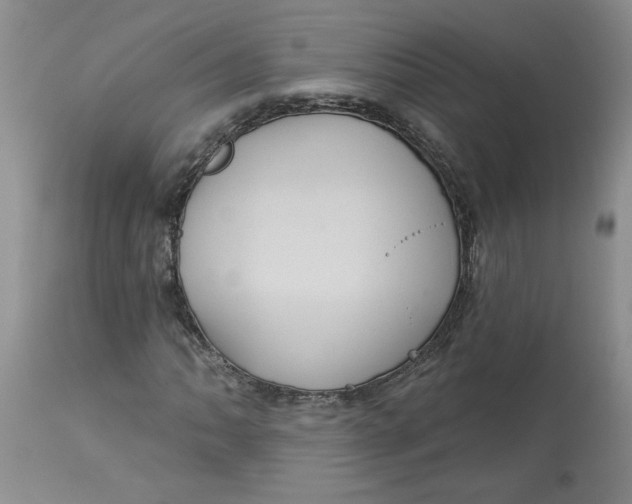 X0000113181062200909251436