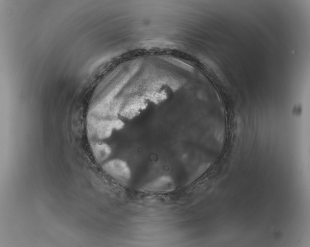 X0000113181063200909251436