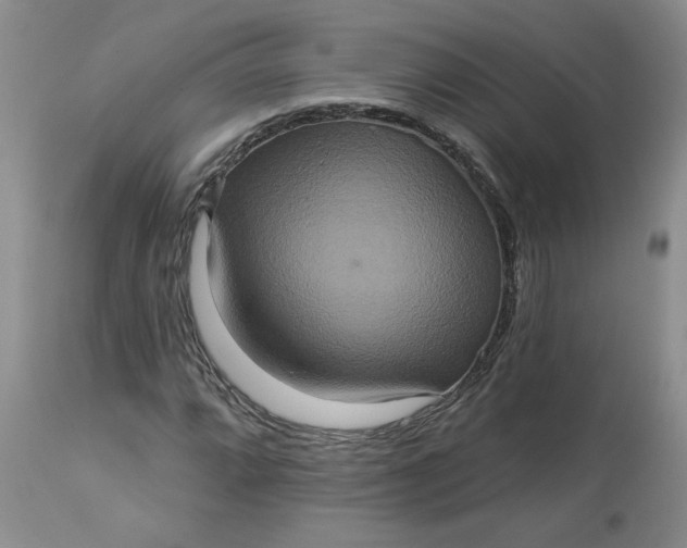 X0000113181064200909251436