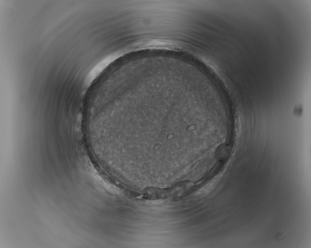X0000113181066200909251436
