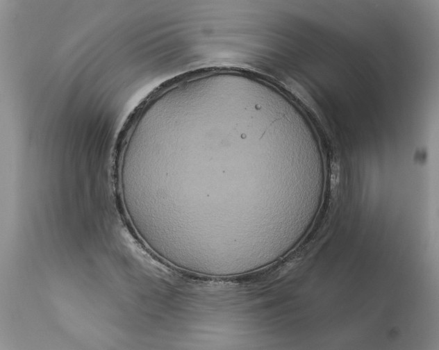 X0000113181068200909251436