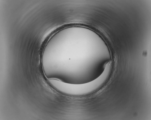 X0000113181069200909251436