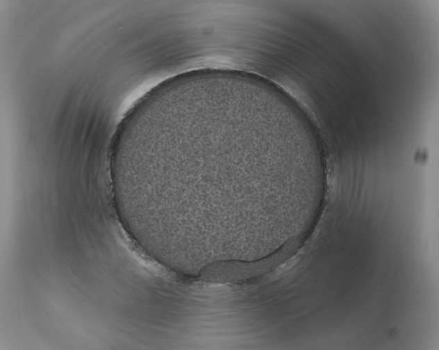 X0000113181070200909251436