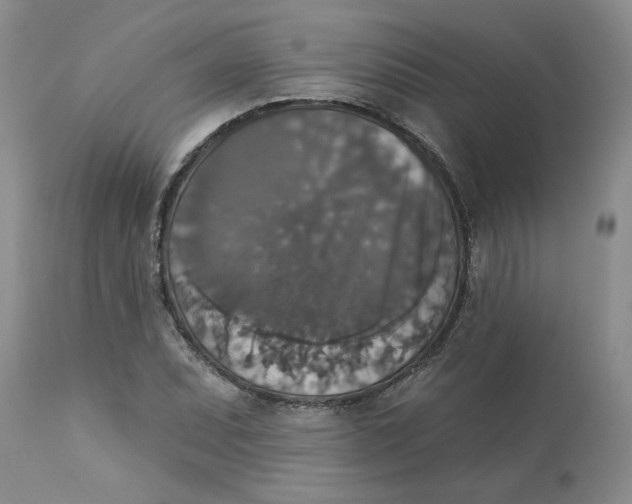 X0000113181071200909251436