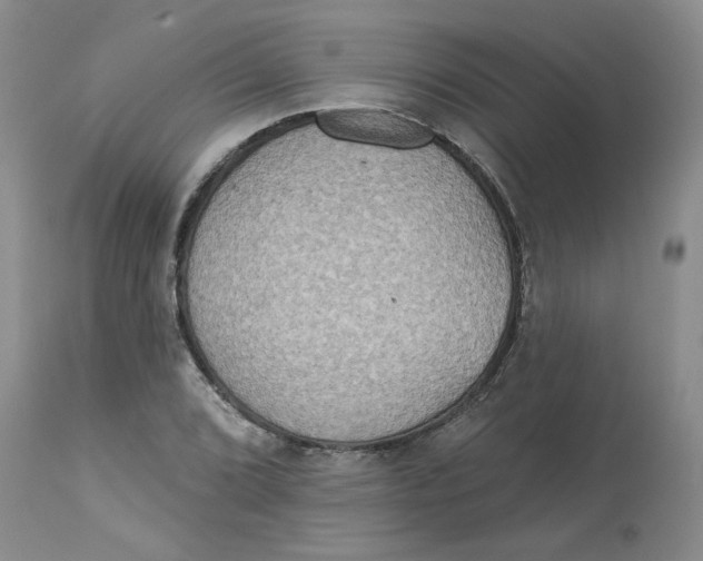 X0000113181072200909251436