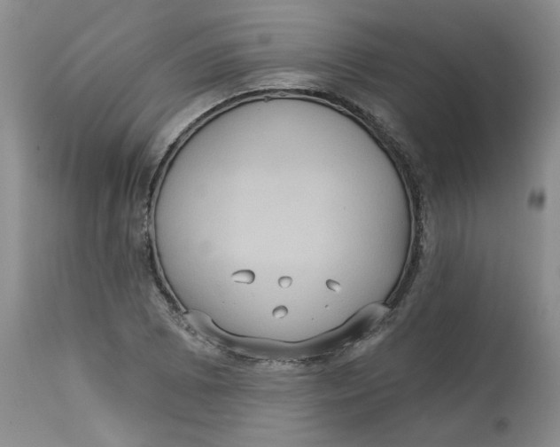 X0000113181073200909251436